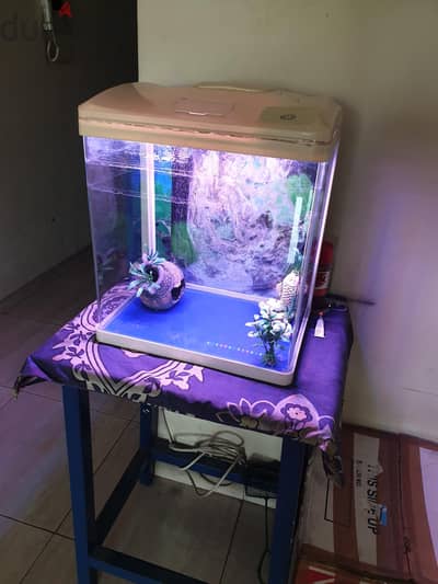 aquarium