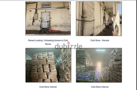 COLD STORE ROOM/FREEZER CHILLER ROOM - AL WADI AL KABIR
