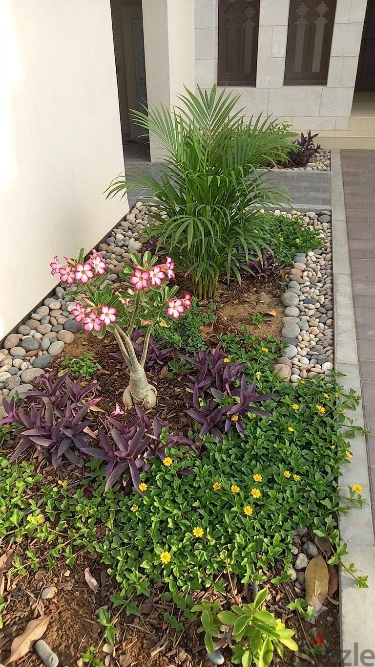 Garden Mantanince 1