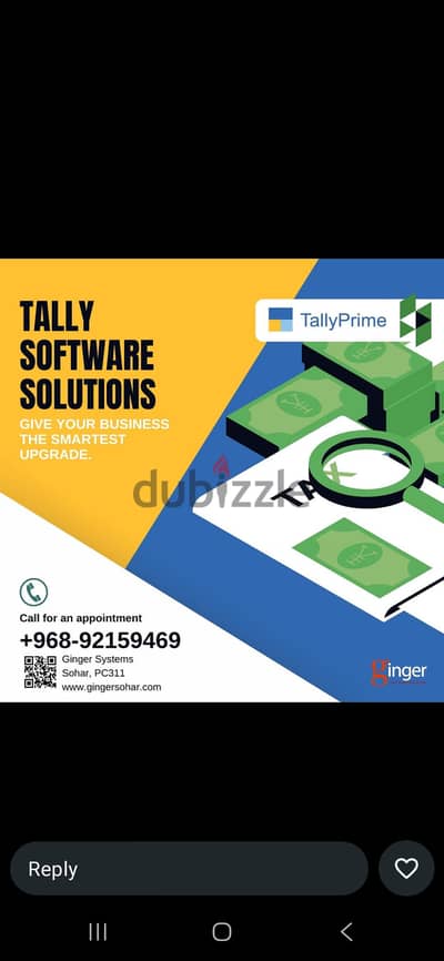 Tally software solutions