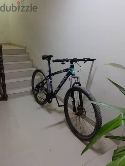 cycle for sale