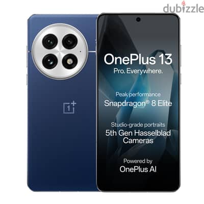 One Plus Other Model
