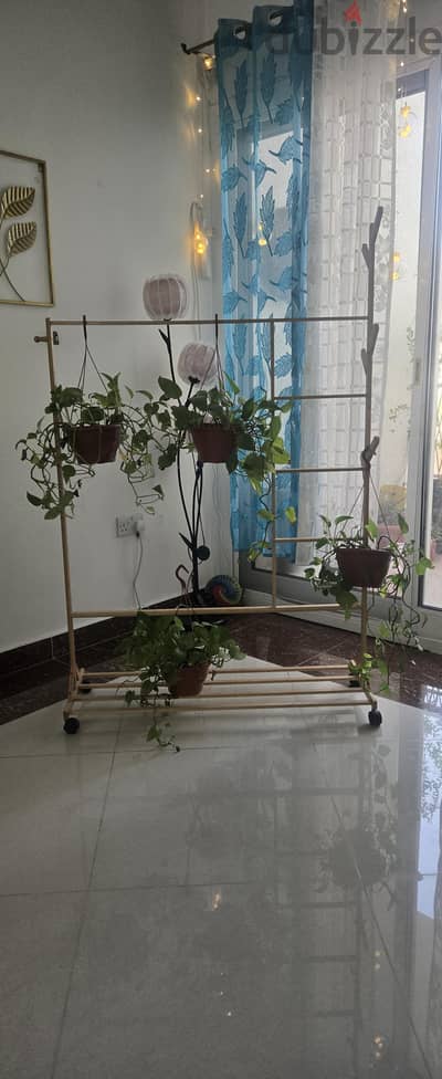 movable plant holder