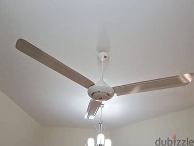 Ceiling Fans in Perfect condition