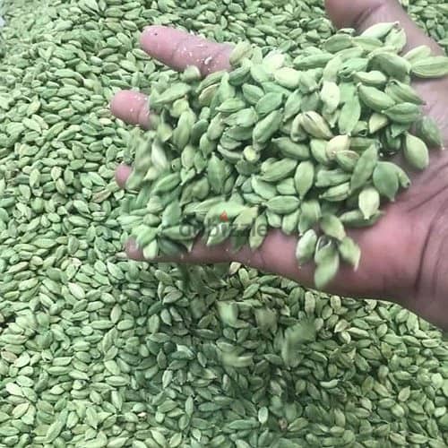 Looking for INVESTOR   to  Import FRUITS  & VEGETABLES 1