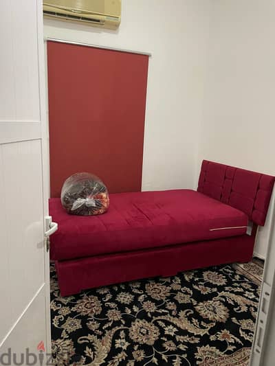 flat available in Villa for working lady only