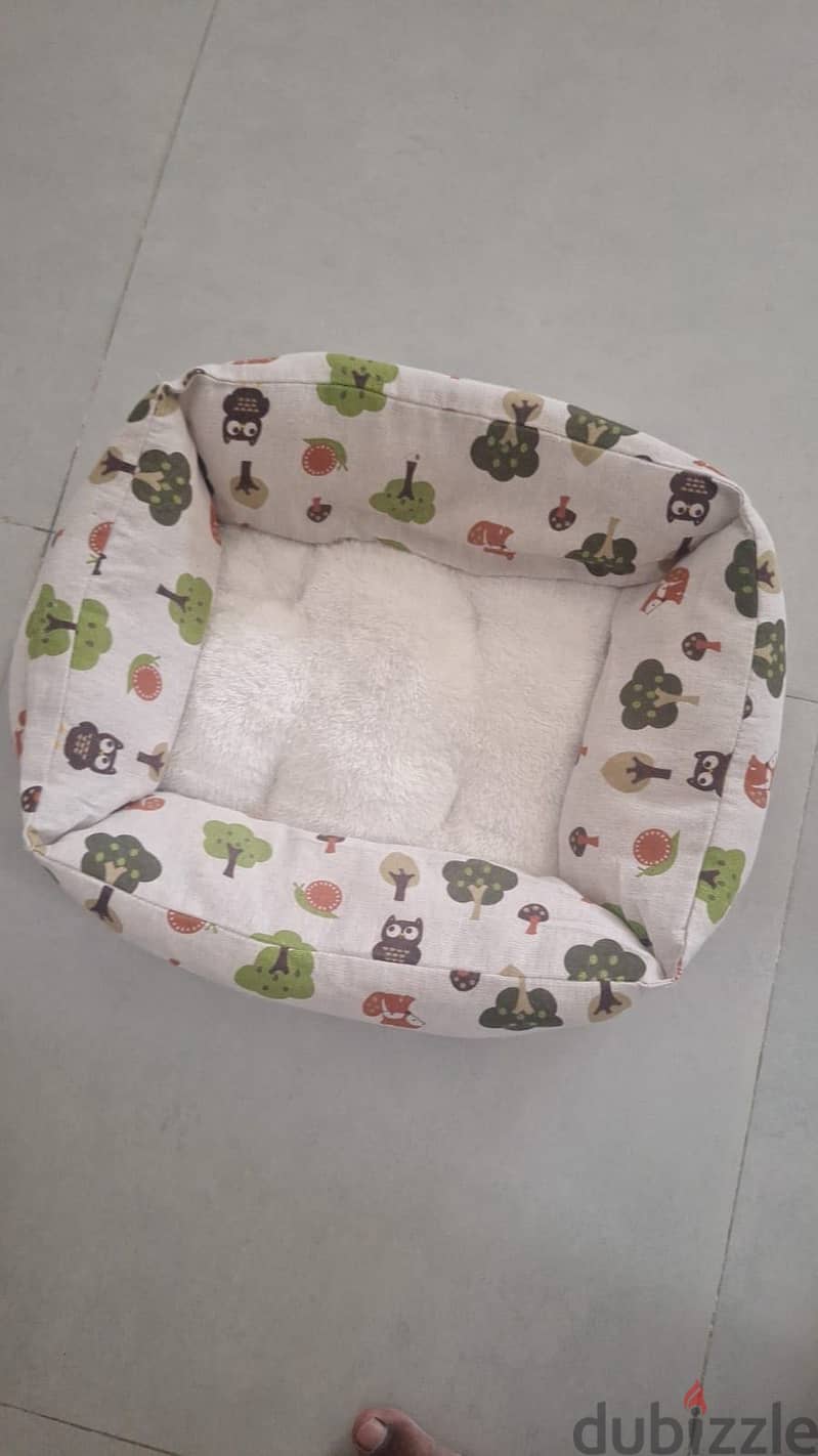 Cat for sell 4