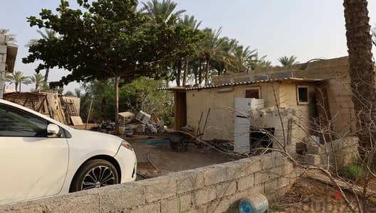 For Sale | Unique Investment Farm in Al Ghuwaisa – Saham