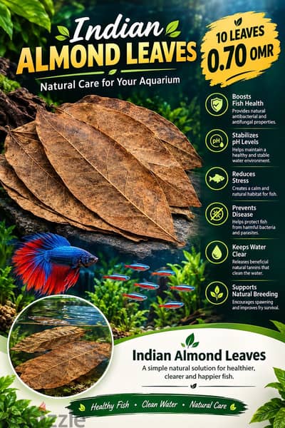 Indian almond leaves