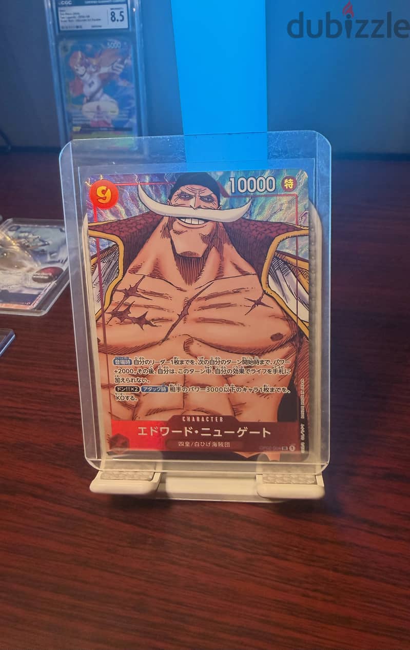 One Piece and Pokemon TCG 1