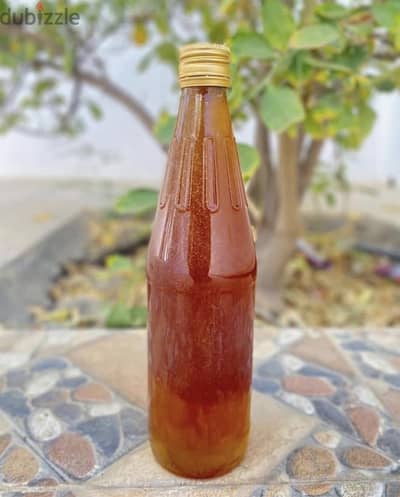 عسل سدر 2026 شهر 9  جديدة ممتازNew  Sidr honey : September 2026