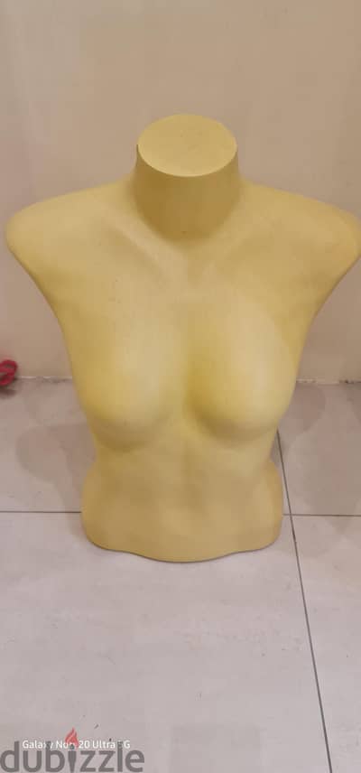 Fibre half body mannequins, steel clip hanger, racks, plastic top hang