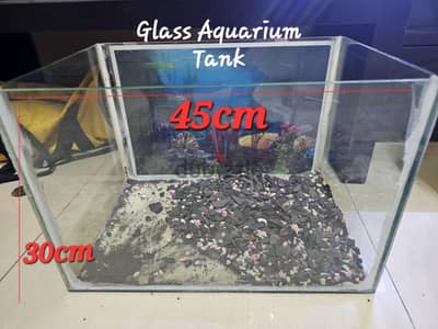 Aquarium tank