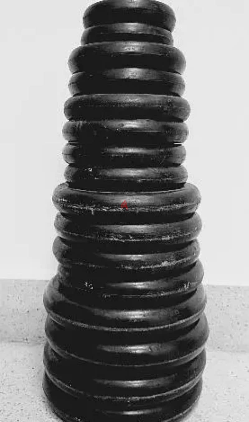 dumbbell set 20 KG 1