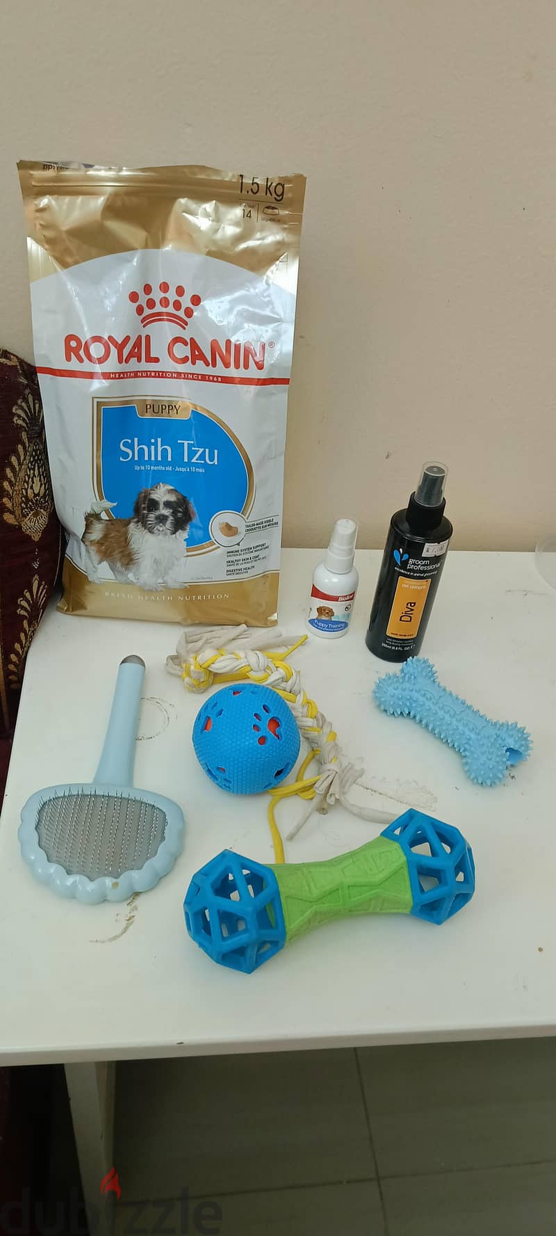 shih Tzu For Sale, Maabhila 97784627 4