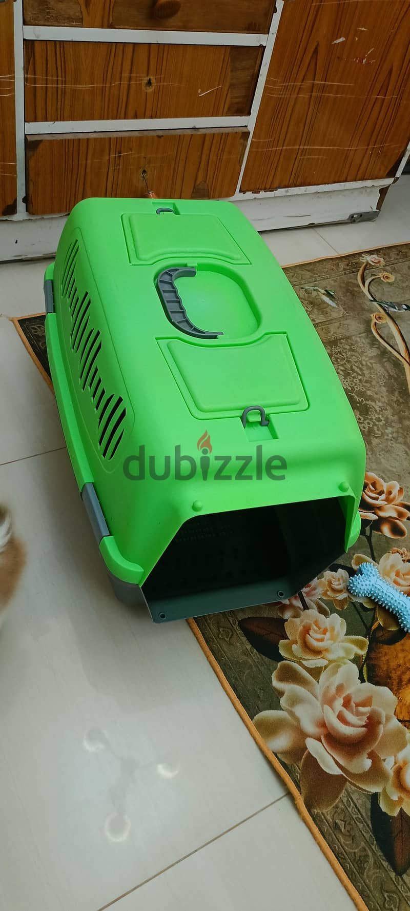 shih Tzu For Sale, Maabhila 97784627 8