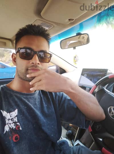 professional driver seeking job