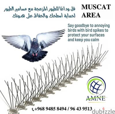 Muscat pest Control Services-24