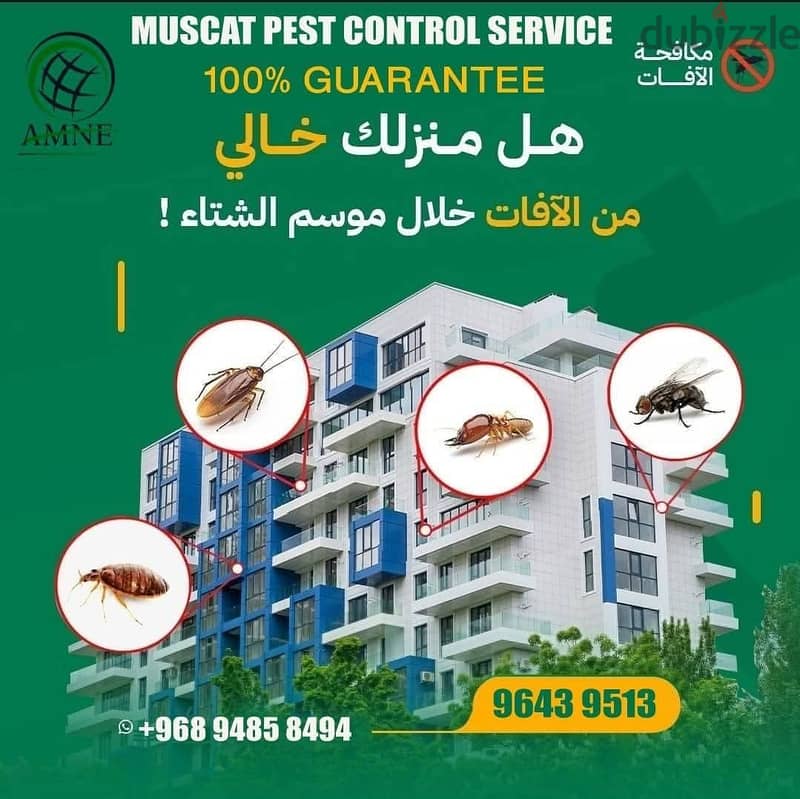 Muscat pest Control Services-24 5