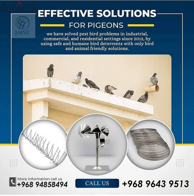 Muscat pest Control Services-24 8