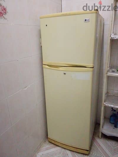 LG refrigerator with 2 doors