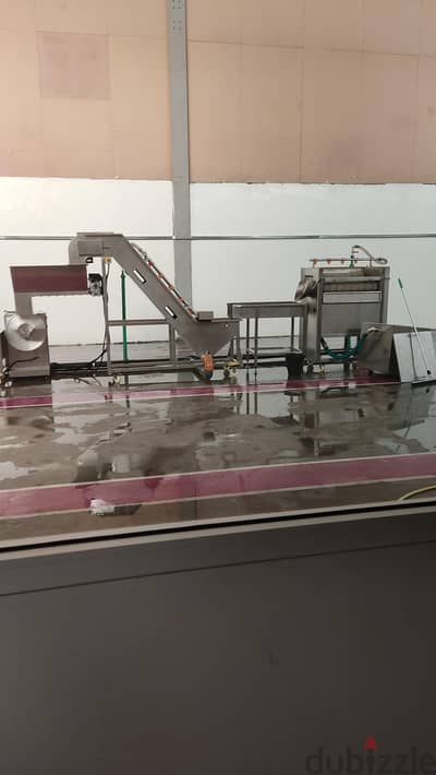French fries potato production plant equipment