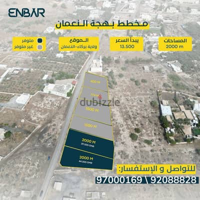 أرض للبيع في  مخطط النعمان – ولاية بركاء