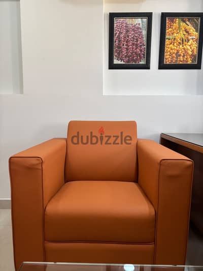 Executive office Chairs & sofa set