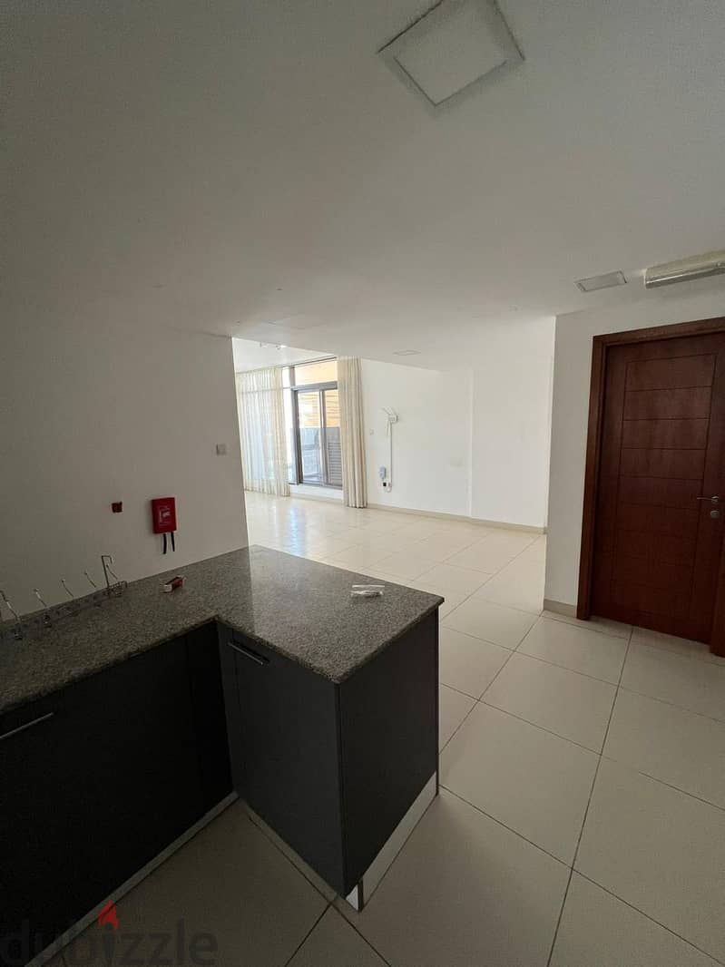 Spacious and Luxurious Penthouse Apartment for Rent 2