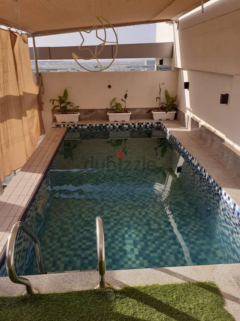 Spacious and Luxurious Penthouse Apartment for Rent 8