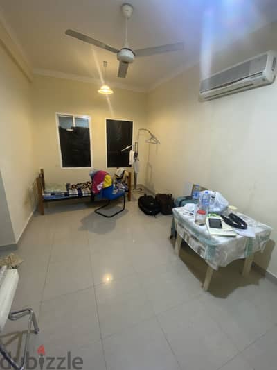 Share room only bachelor