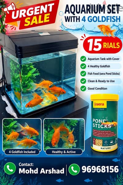 Fish and aquarium