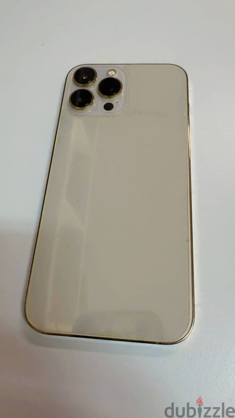 Apple - iPhone 13 Pro Max 1