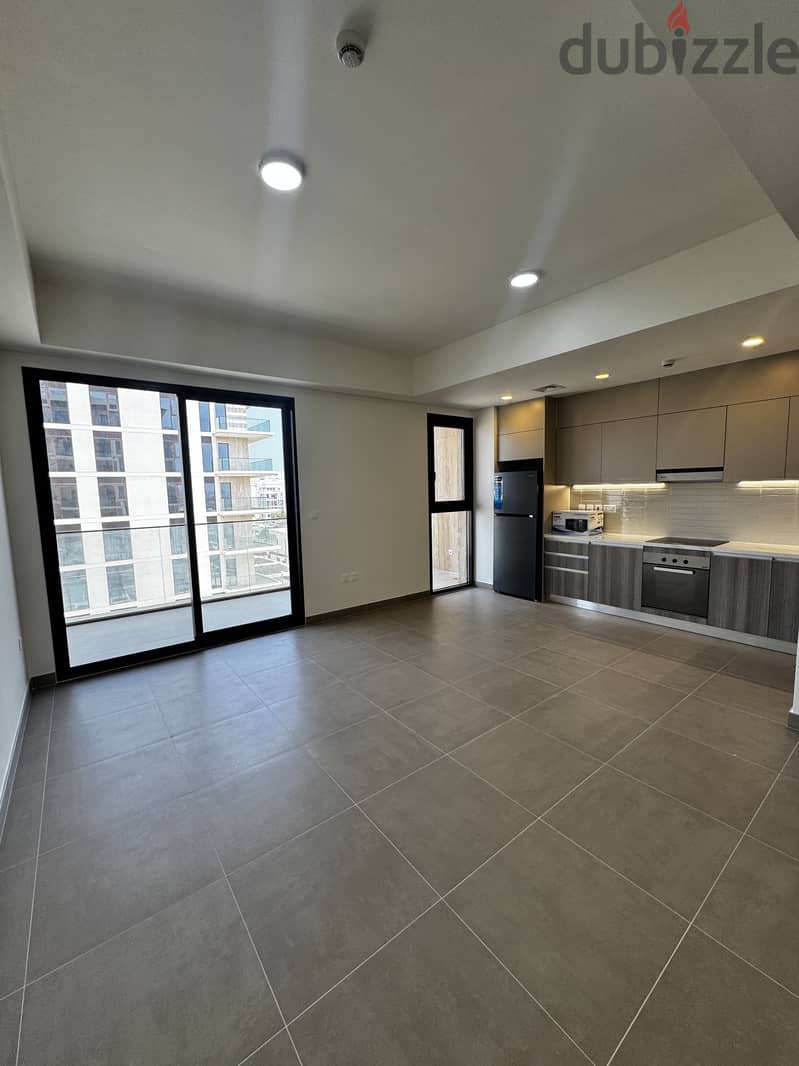 1Bedroom Apartment for Rent 2