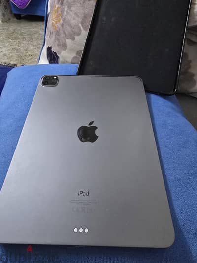iPhone 11 Pro iPad