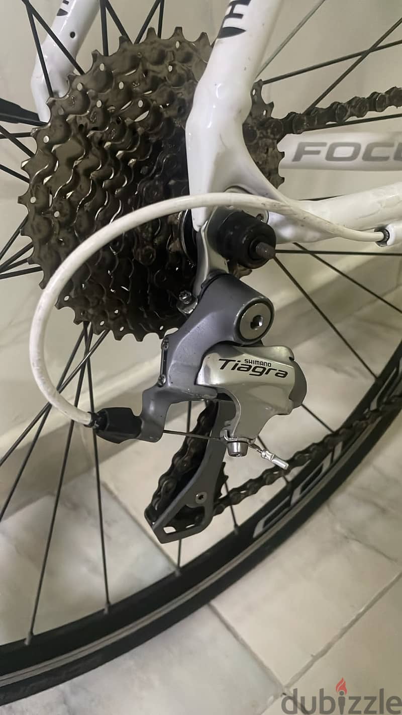 Road Bike, Focus Variado 3.0 , Mint condition , Urgetn sale, serious buyers only 3