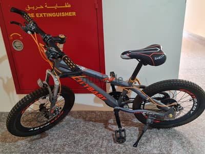 Bicycle