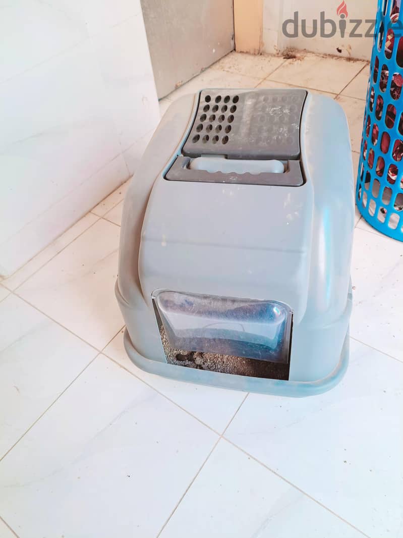 cat box 1