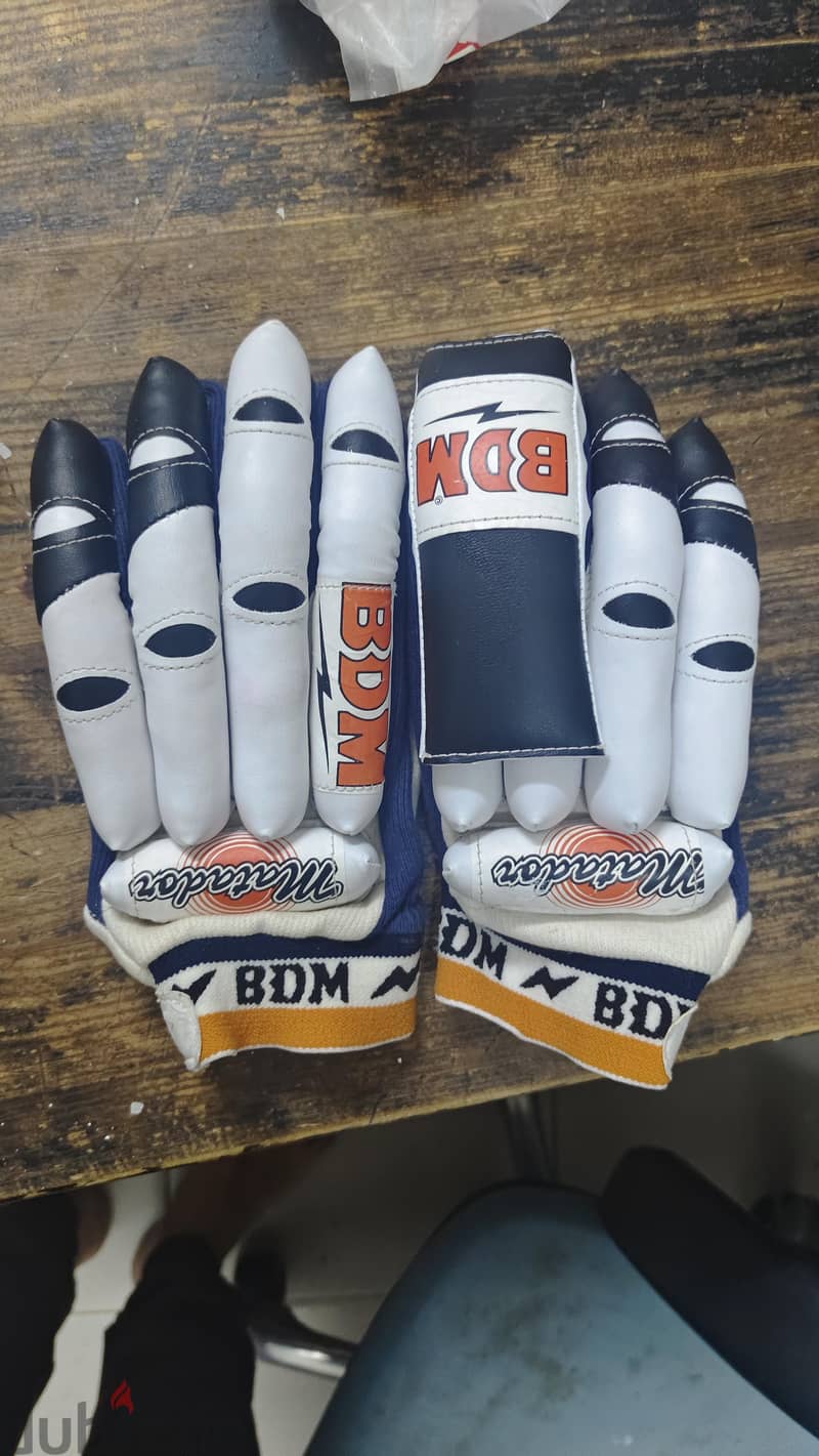 CRICKET PAD AND GLOVES 2