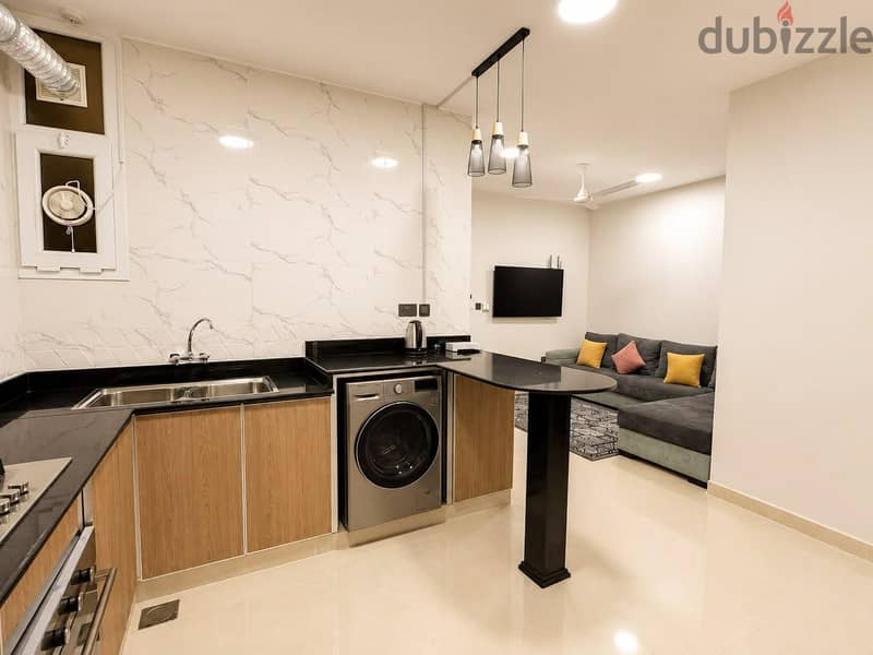 Fully Furnished Apartment for Rent- Excellent Location. 5