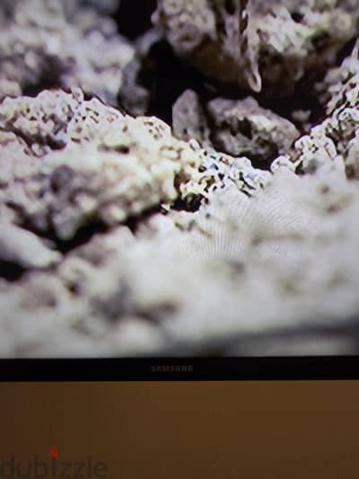 tv + soundbar
