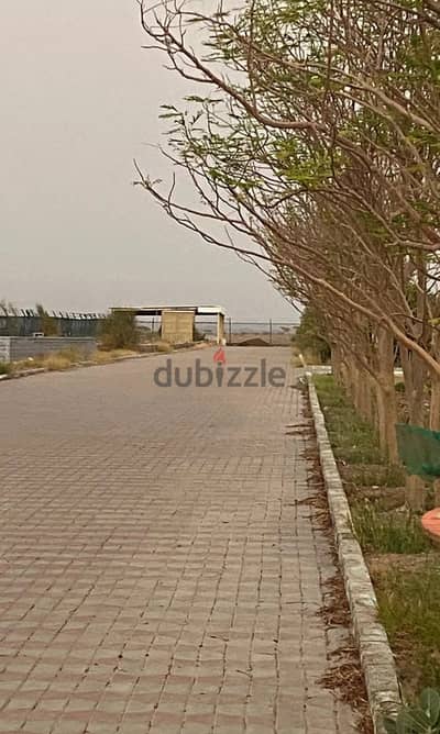  For Sale | Prime Farm in Mahdah – Al Samini 