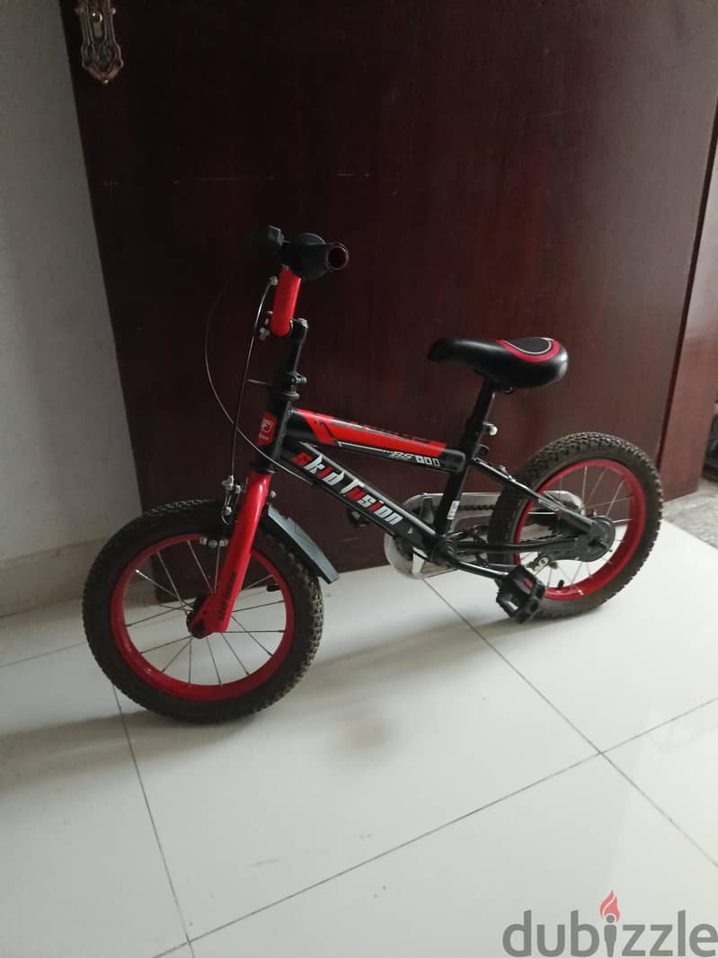 cycle 2