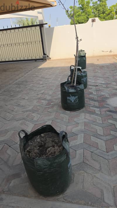cloth pots 60 ltr