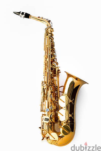 Alto Saxophone Music Teacher