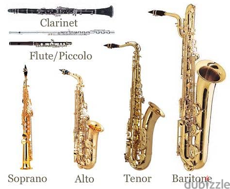 Alto Saxophone Music Teacher 3