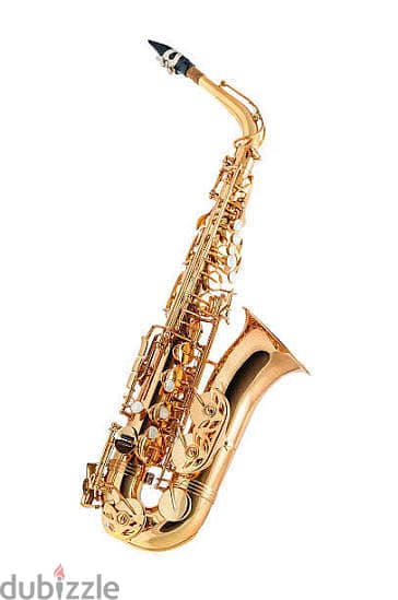 Alto Saxophone Music Teacher 5