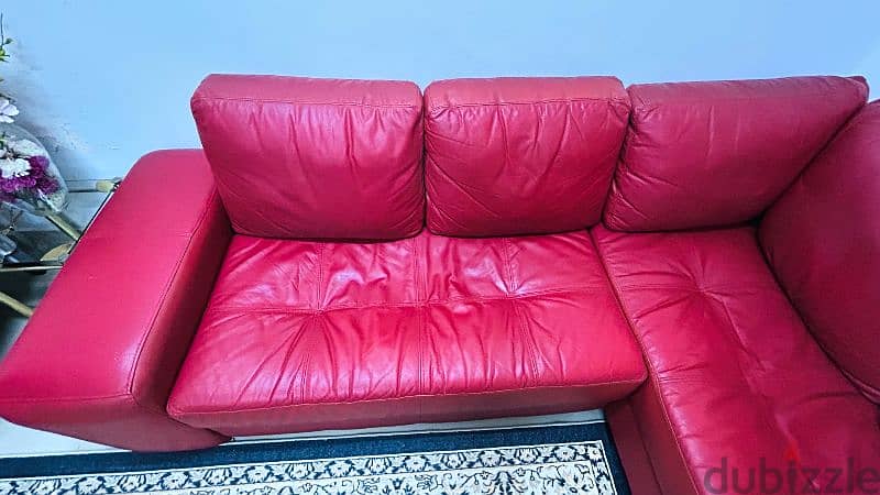 leather L - shape sofa 2