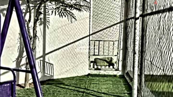  Al Hattan Rest House | Daily Booking in Barka  13