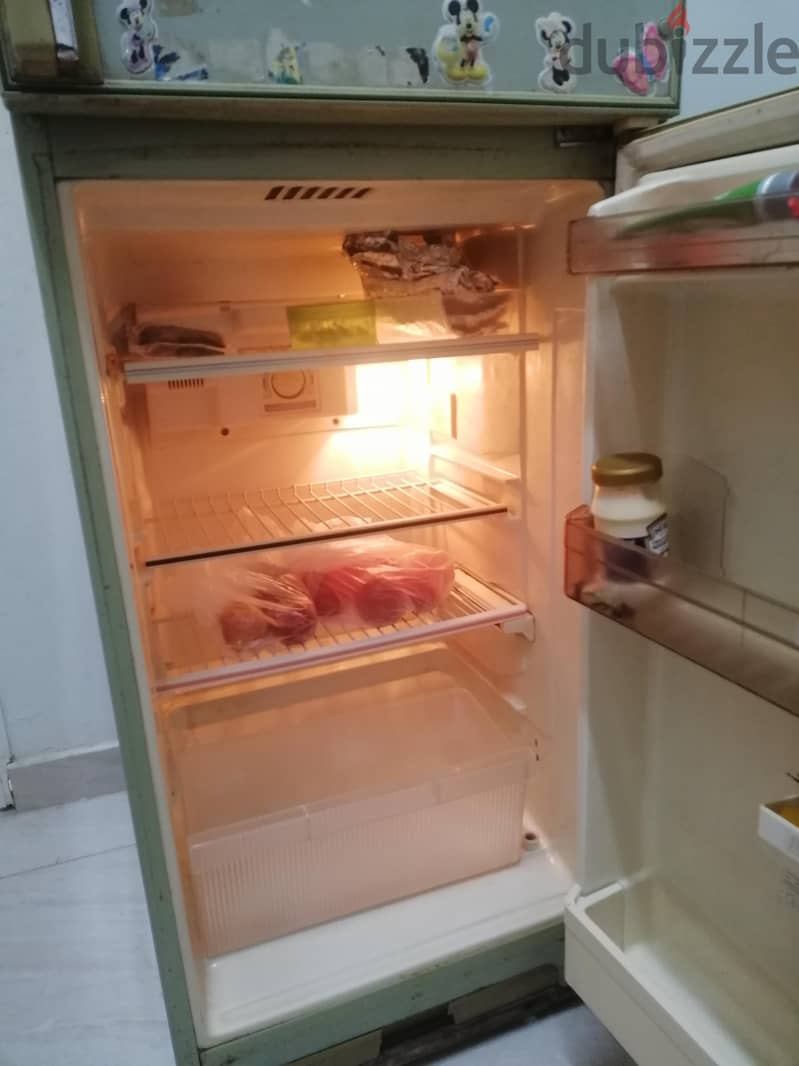 Double Door Fridge 1